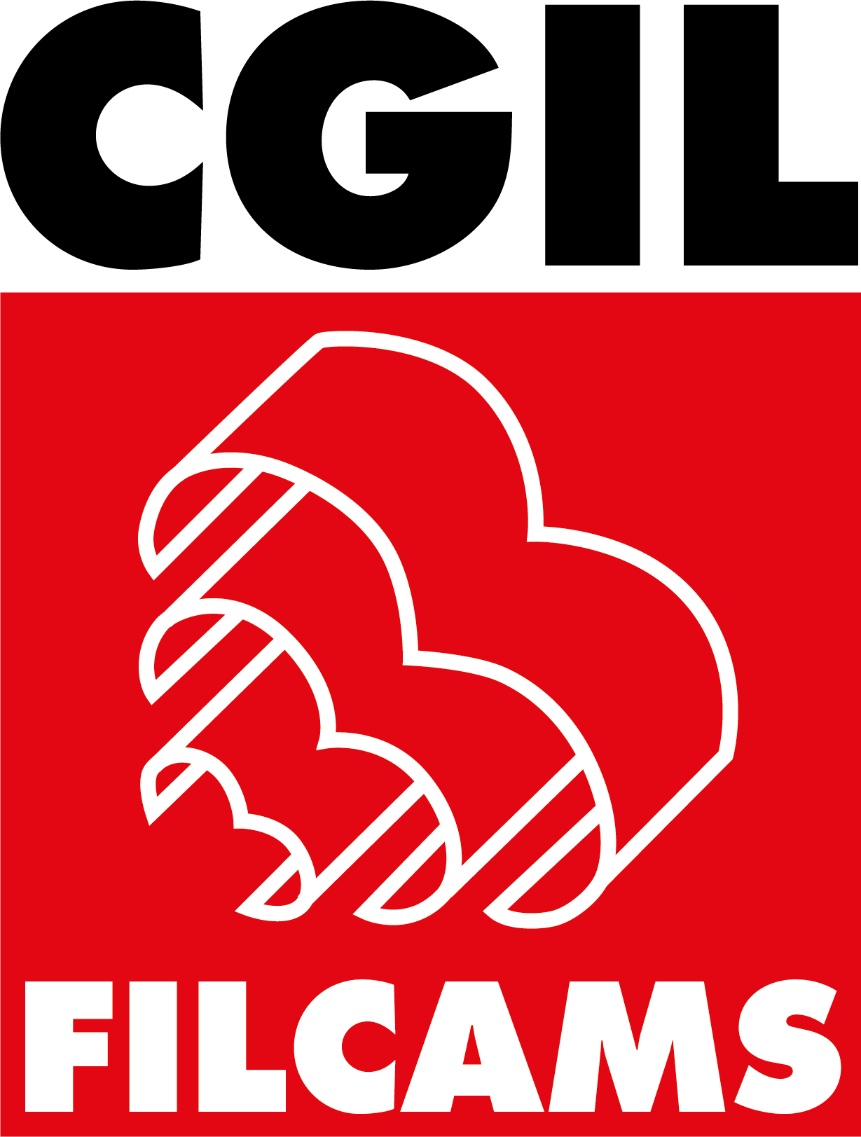 filcams_cgil_logo_100